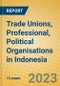 Trade Unions, Professional, Political Organisations in Indonesia: ISIC 91 - Product Image
