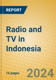 Radio and TV in Indonesia: ISIC 9213- Product Image