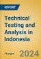 Technical Testing and Analysis in Indonesia: ISIC 7422 - Product Thumbnail Image