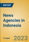 News Agencies in Indonesia: ISIC 922 - Product Image