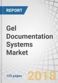 Gel Documentation Systems Market by Product, Light Source, Detection, Application, End User - Global Forecast to 2023- Product Image