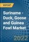 Suriname - Duck, Goose and Guinea Fowl - Market Analysis, Forecast, Size, Trends and Insights - Product Thumbnail Image