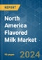 North America Flavored Milk - Market Share Analysis, Industry Trends & Statistics, Growth Forecasts 2019 - 2029 - Product Thumbnail Image