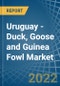 Uruguay - Duck, Goose and Guinea Fowl - Market Analysis, Forecast, Size, Trends and Insights - Product Thumbnail Image