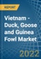 Vietnam - Duck, Goose and Guinea Fowl - Market Analysis, Forecast, Size, Trends and Insights - Product Thumbnail Image