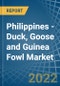 Philippines - Duck, Goose and Guinea Fowl - Market Analysis, Forecast, Size, Trends and Insights - Product Thumbnail Image