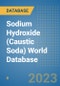 Sodium Hydroxide (Caustic Soda) World Database - Product Image