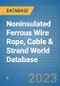 Noninsulated Ferrous Wire Rope, Cable & Strand World Database - Product Image