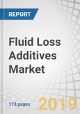 Fluid Loss Additives Market by Type (Synthetically Modified Natural (PAC, CMC), Synthetic (Acrylic Sulphonated Polymers), Natural (Starch, Lignin, Bentonite)), Application (Drilling Fluid, Cement Slurry) - Global Forecast to 2024- Product Image
