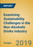 Examining Sustainability Challenges in the Non-Alcoholic Drinks Industry- Product Image