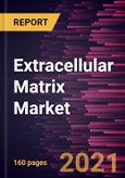 Extracellular Matrix Market Forecast to 2028 - COVID-19 Impact and Global Analysis By Raw Material (Bovine, Porcine, and Others) and Application (Soft Tissue Repair, Dural Repair, Wound Healing, Cardiac Repair, Pericardial Repair, and Vascular Repair and Reconstruction)- Product Image