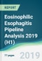 Eosinophilic Esophagitis Pipeline Analysis 2019 (H1) - Product Thumbnail Image