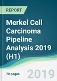 Merkel Cell Carcinoma Pipeline Analysis 2019 (H1)- Product Image