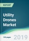 Utility Drones Market - Forecasts from 2019 to 2024 - Product Thumbnail Image
