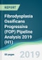Fibrodysplasia Ossificans Progressiva (FOP) Pipeline Analysis 2019 (H1) - Product Thumbnail Image