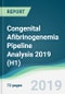 Congenital Afibrinogenemia Pipeline Analysis 2019 (H1) - Product Thumbnail Image