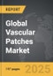 Vascular Patches: Global Strategic Business Report - Product Thumbnail Image