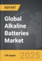 Alkaline Batteries - Global Strategic Business Report - Product Thumbnail Image