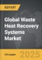 Waste Heat Recovery Systems - Global Strategic Business Report - Product Image