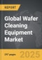 Wafer Cleaning Equipment: Global Strategic Business Report - Product Image