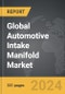 Automotive Intake Manifold - Global Strategic Business Report - Product Thumbnail Image