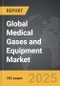 Medical Gases and Equipment - Global Strategic Business Report - Product Thumbnail Image