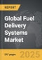 Fuel Delivery Systems: Global Strategic Business Report - Product Thumbnail Image