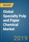 Global Specialty Pulp and Paper Chemical Market 2019-2025 - Product Thumbnail Image