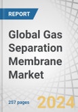 Global Gas Separation Membrane Market by Module, Material Type, Application (Nitrogen Generation & Oxygen Enrichment, Hydrogen Recovery, CDR, Vapor/Gas Separation, Vapor/Vapor Separation, Air Dehydration, H2S Removal), and Region - Forecast to 2030- Product Image