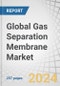 Global Gas Separation Membrane Market by Module, Material Type, Application (Nitrogen Generation & Oxygen Enrichment, Hydrogen Recovery, CDR, Vapor/Gas Separation, Vapor/Vapor Separation, Air Dehydration, H2S Removal), and Region - Forecast to 2030 - Product Image
