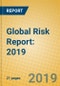 Global Risk Report: 2019 - Product Thumbnail Image