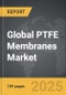 PTFE Membranes - Global Strategic Business Report - Product Image