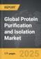 Protein Purification and Isolation - Global Strategic Business Report - Product Thumbnail Image