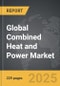 Combined Heat and Power (CHP) - Global Strategic Business Report - Product Image