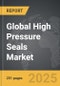 High Pressure Seals - Global Strategic Business Report - Product Thumbnail Image