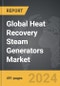 Heat Recovery Steam Generators - Global Strategic Business Report - Product Thumbnail Image