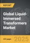 Liquid-Immersed Transformers - Global Strategic Business Report - Product Thumbnail Image