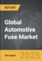 Automotive Fuse - Global Strategic Business Report - Product Image