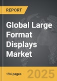 Large Format Displays (LFD) - Global Strategic Business Report- Product Image