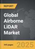 Airborne LiDAR - Global Strategic Business Report- Product Image