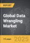 Data Wrangling - Global Strategic Business Report - Product Image