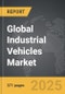 Industrial Vehicles - Global Strategic Business Report - Product Thumbnail Image