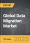 Data Migration - Global Strategic Business Report - Product Thumbnail Image