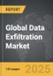 Data Exfiltration - Global Strategic Business Report - Product Thumbnail Image