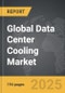 Data Center Cooling - Global Strategic Business Report - Product Image