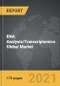 RNA Analysis/Transcriptomics - Global Market Trajectory & Analytics - Product Thumbnail Image