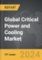 Critical Power and Cooling - Global Strategic Business Report - Product Thumbnail Image