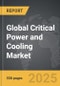 Critical Power and Cooling - Global Strategic Business Report - Product Thumbnail Image