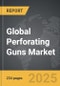 Perforating Guns - Global Strategic Business Report - Product Thumbnail Image