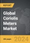 Coriolis Meters - Global Strategic Business Report - Product Thumbnail Image